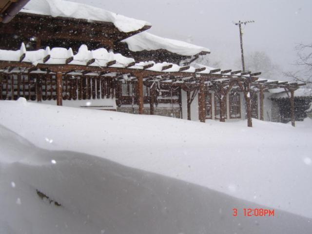 The House With The Vine Guest House Zheravna Bagian luar foto